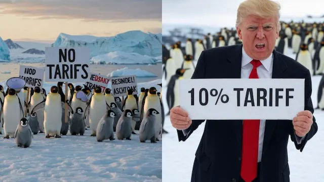 Penguins