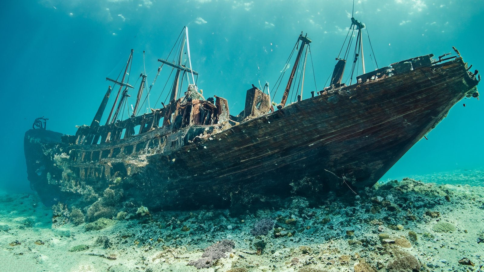 Shipwrecks Discovery: Construction Workers Discovered Six Centuries-Old Shipwrecks