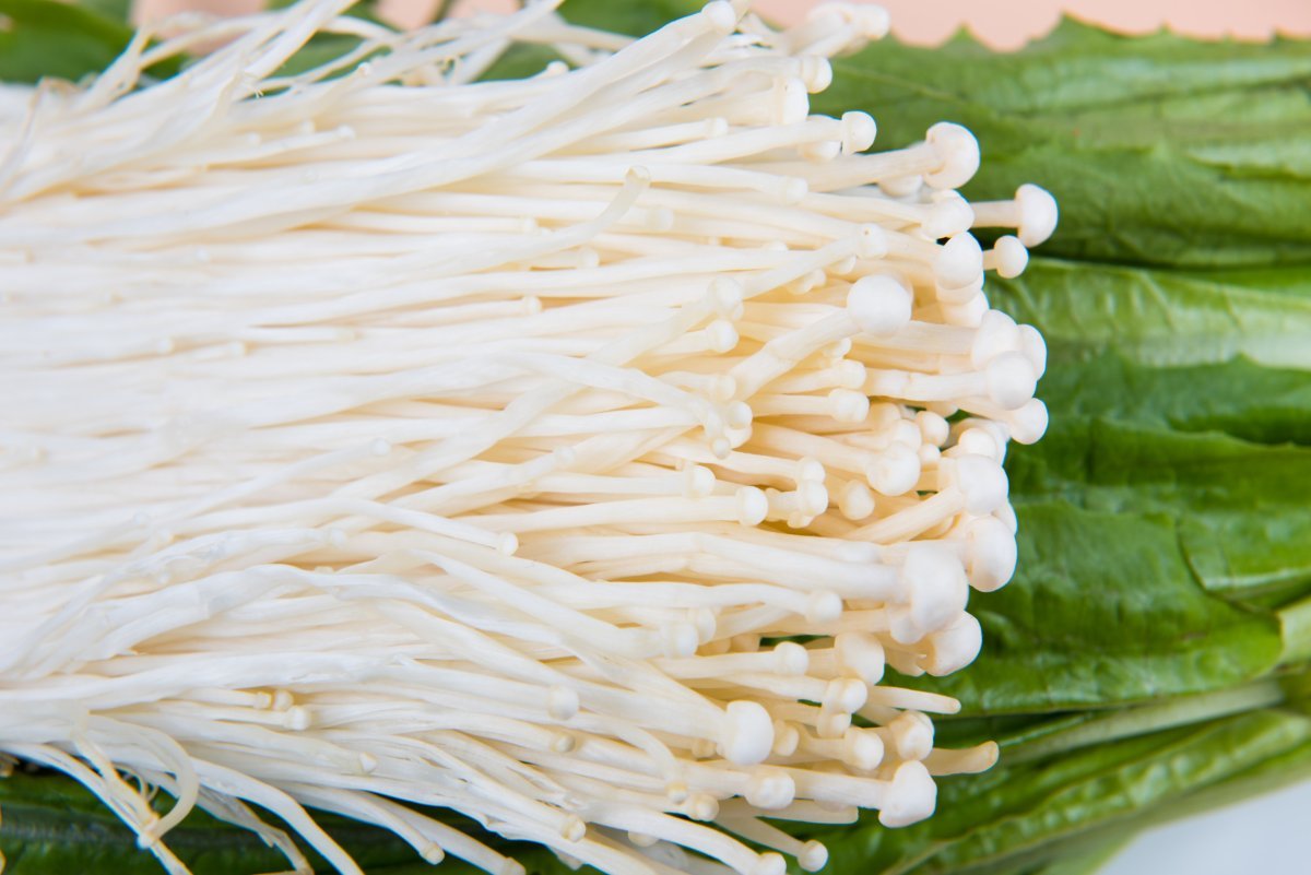 The FDA has issued two separate recall notices for mushroom products over concerns of Listeria
