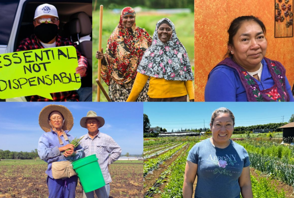 how does the new US immigration policy affect texas farm workers